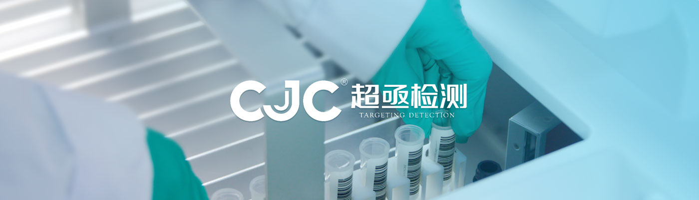 公司简介