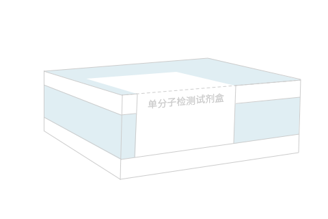 试剂项目