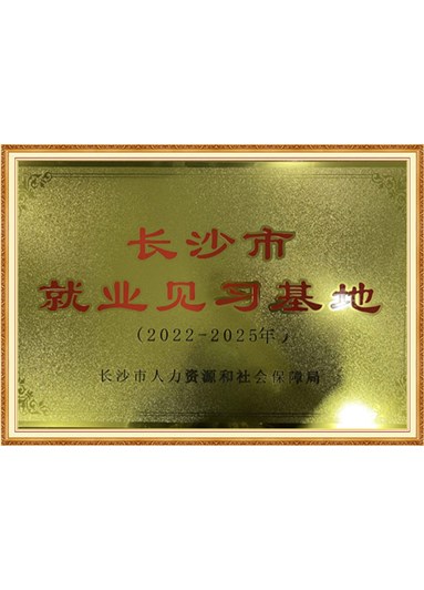 长沙就业见习基地