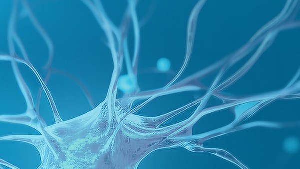 单分子免疫检测技术知多少？