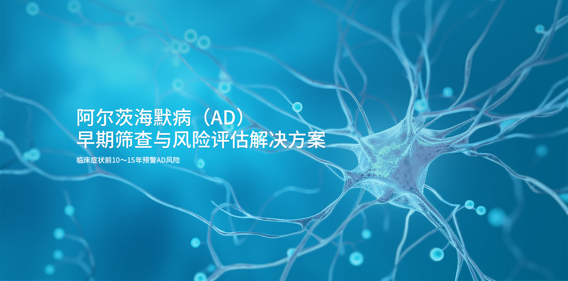 阿尔茨海默评估方案